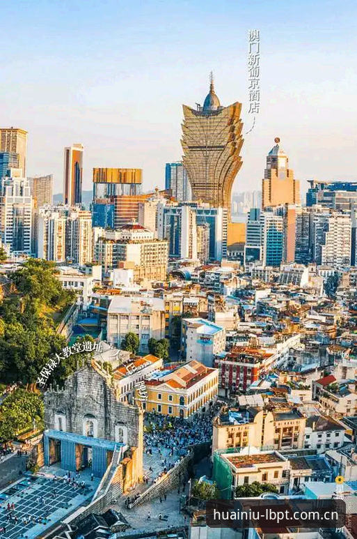 老版新葡萄8883注册 新葡京娱乐平台深度评测:老版新葡萄8883注册体验与怀旧经典游戏全面解析